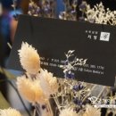 셀라비살롱 이미지