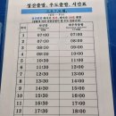 우도여행 배시간 우도투어패스로 여행코스해결