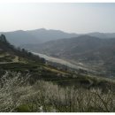 신기천농원