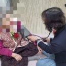 상록수 이미지