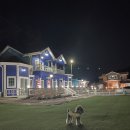 양양 발렌타인 애견펜션 이미지