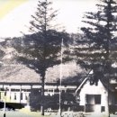 봉화초등학교 이미지