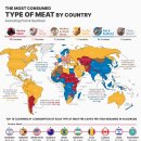 전세계 1인당 육류 해산물 소비량 순위 이미지