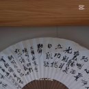 호연나무