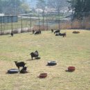 동일장여관 이미지