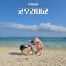 오키나와 북부 관광지 코우리대교 : 코우리해변 까지 다녀온 후기(+맛집 정보)