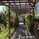 청도편백숲하우스 이미지