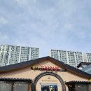 한백부동산중개 | 포항 장성동 점심맛집으로 딱! 본가 꼬막짬뽕 리얼리뷰