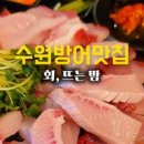 회;뜨는밤