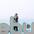 별별강아지 | 제부도 애견동반 여행 1박 2일 강아지와 다녀온 후기