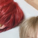 퐁즈 이미지