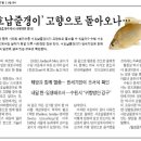 서호 이미지