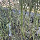 제주도펜션 브리니프라이빗 이미지