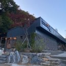 도치 | 용인 고기리 맛집 도치피자, 콰트로 스타지오네 &amp; 파스타 도치 후기