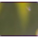 선릉쉼표정신건강의학과의원 이미지