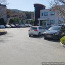 구좌리얼크니손칼국수 이미지