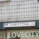 러브시티독 이미지