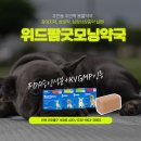 굿모닝동물약국 이미지