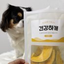오구 수제간식 | STRONGLYDOG 견강하개 강아지 단호박 동결건조 야채 간식 후기🎃