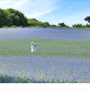 신한아그로 이미지