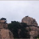 이산저산 이미지