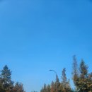 솔트스포츠 | ⛳️ 비즈니스 라운딩 성지! 솔트베이CC 후기: 그린 상태, 캐디, 그리고 '그늘집 치킨'의 재발견