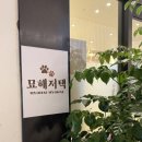 묘해저택 전주 고양이카페 이미지