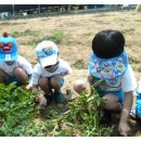 만석군농장 이미지