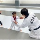 큰솔 태권도 이미지