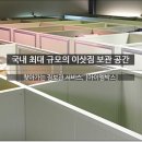 일리-엠 이미지