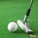 더블유스크린골프 이미지