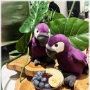 신논현역 6번출구 뒤 이미지