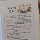 아셀클린