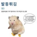 피니시타워 | 2026년 서울 동아마라톤 풀코스 완주 후기