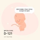 스마일주유소 | [리뷰] 임산부어플추천 스마일리더 아기 태명 짓는 꿀팁 &amp; 우리 아기 태명 자랑🫶