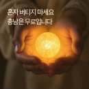 도로시 | 빚 때문에 혼자 버티고 있었는데... 충청남도에서 ‘이런 지원’이 있었다