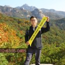밝은행정사사무소 이미지