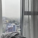 육회 꽃피다 네이버블로그