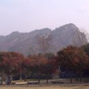 문경새재 도립공원 Daum카페