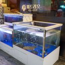 해드리오 이미지