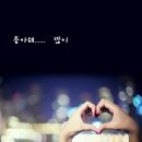 설레는하루