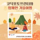 코닥포토 이미지