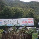 캠핑포유야영장 이미지