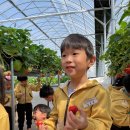 김주원농장 이미지