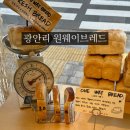 광안리 빵집 원웨이브레드 광안리 카페 소금식빵