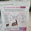 고양이 하루 이미지