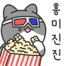 원주태권도 이미지