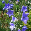 건강이농장 이미지