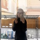 카이스트에서 살아남기 98