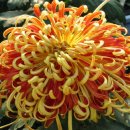 한양전자 이미지